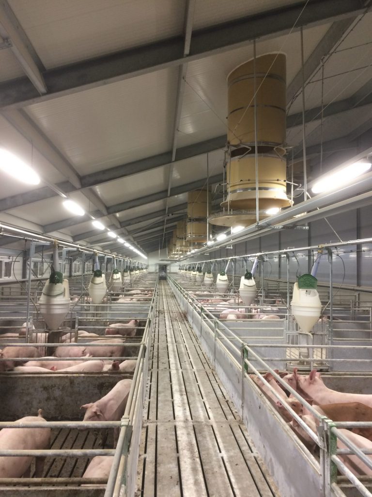 ARC Ventilation Chimney - Pig House Scandinavia - TPI-Polytechniek