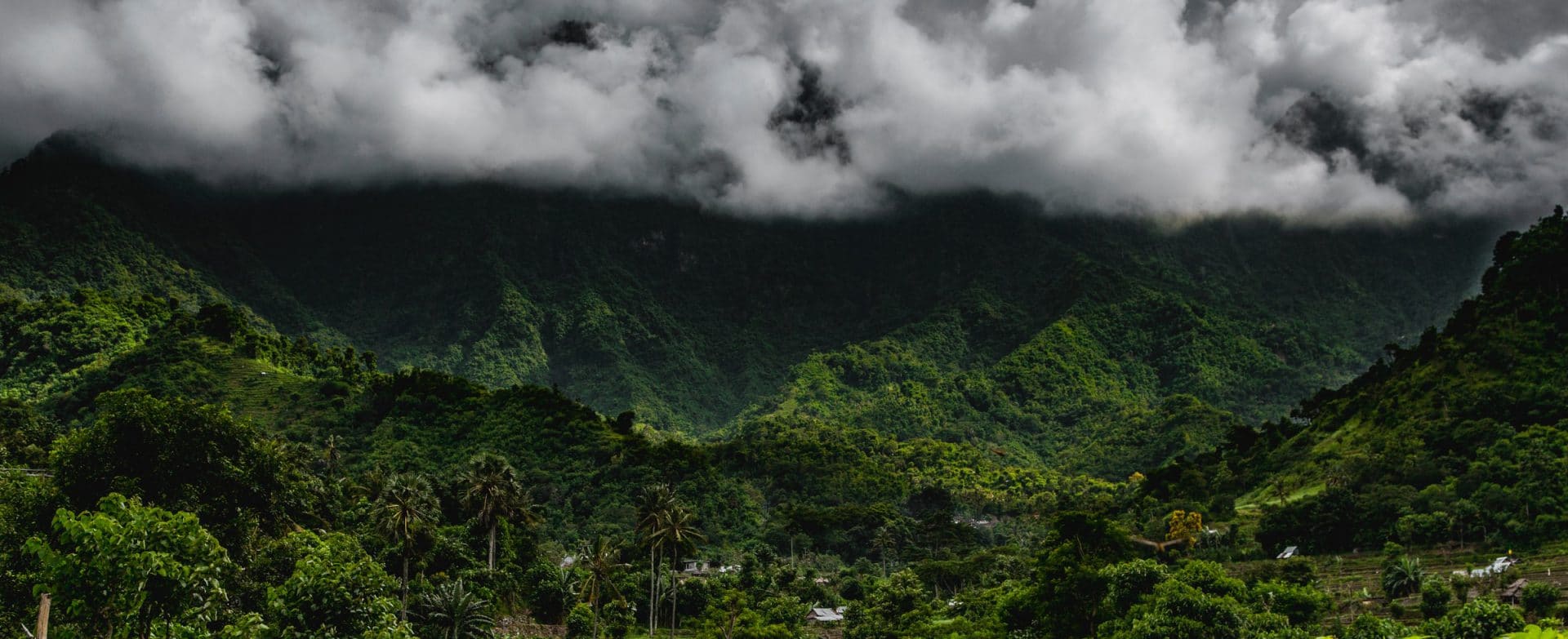 Poultry ventilation in tropical areas - TPI-Polytechniek