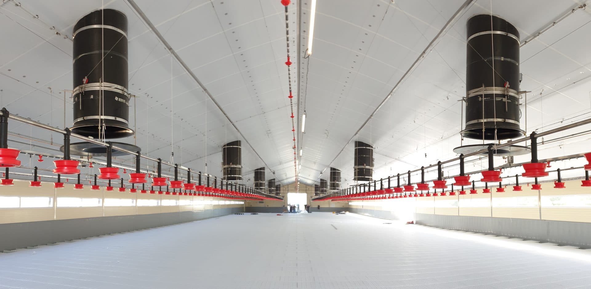 Wide poultry house with equal pressure ventilation chimneys